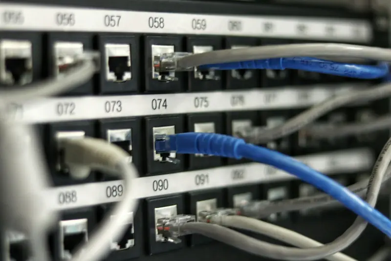 Blue and grey network cables plugged into a numbered patch panel